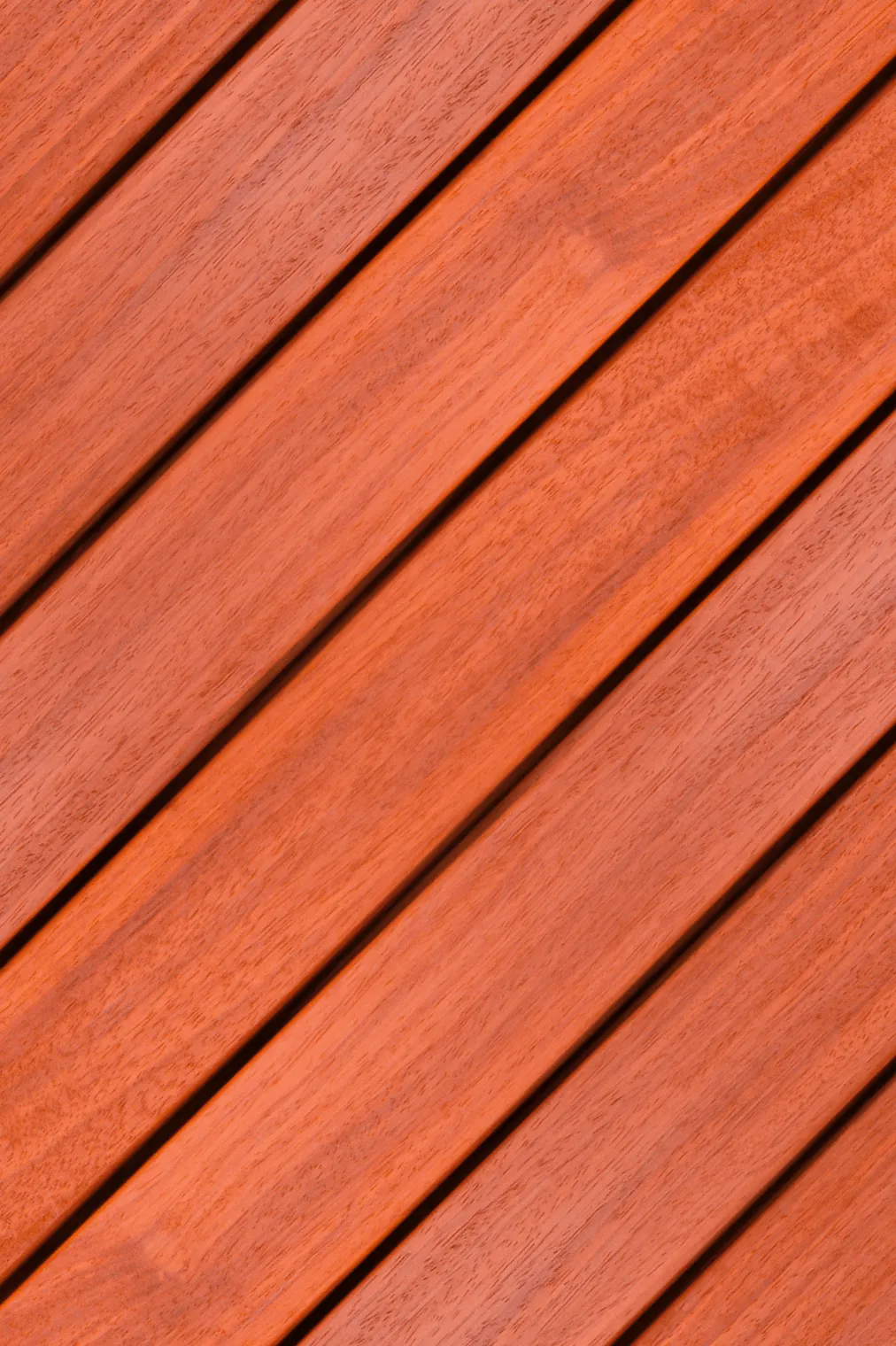 Vetedy-padauk-wood-species-red-decking